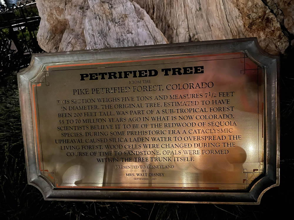 Disneyland's Petrified Tree